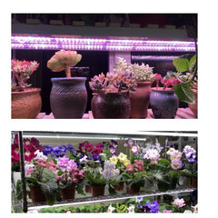 Lampa dubla pentru cresterea plantelor Practicpentrucasa, 50 cm, T5, tehnologie LED, nu afecteaza plantele, potrivit pentru intregul ciclu de crestere, multicolor