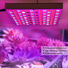 Lampa LED 45W Practicpentrucasa, pentru cresterea plantelor in interior, 225 de leduri, 165 leduri rosii, 60 albastre, 30 x 30 cm, multicolor