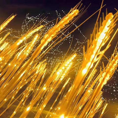 Lumina solara LED tip Spic de grau, inaltime 80 cm, pentru gradina, Practicpentrucasa