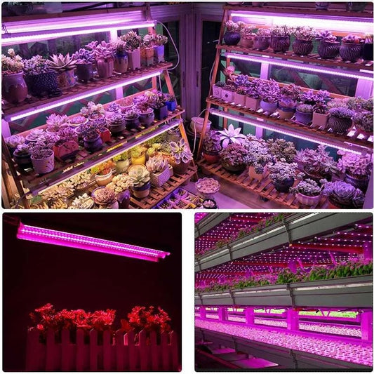 Lampa dubla pentru cresterea plantelor Practicpentrucasa, 50 cm, T5, tehnologie LED, nu afecteaza plantele, potrivit pentru intregul ciclu de crestere, multicolor