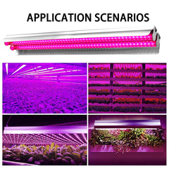 Lampa dubla pentru cresterea plantelor Practicpentrucasa, 50 cm, T5, tehnologie LED, nu afecteaza plantele, potrivit pentru intregul ciclu de crestere, multicolor