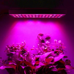 Lampa LED 15W Practicpentrucasa, pentru cresterea plantelor in interior, material ABS, cu agatatoare, 25 x 25 cm, multicolor